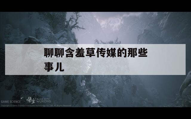 聊聊含羞草传媒的那些事儿