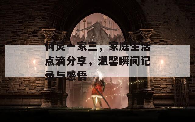 何炅一家三，家庭生活点滴分享，温馨瞬间记录与感悟