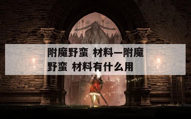 附魔野蛮 材料—附魔野蛮 材料有什么用