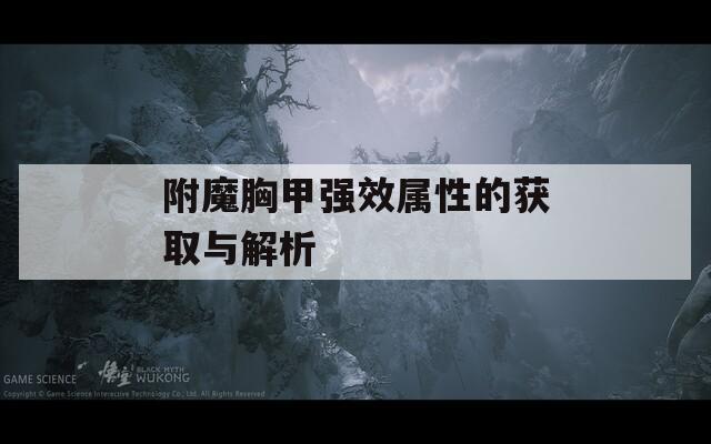 附魔胸甲强效属性的获取与解析