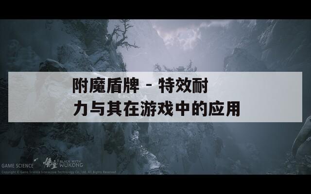 附魔盾牌 - 特效耐力与其在游戏中的应用
