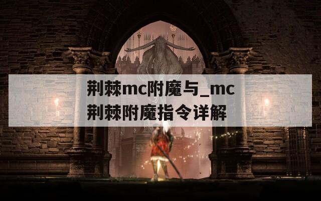荆棘mc附魔与_mc荆棘附魔指令详解
