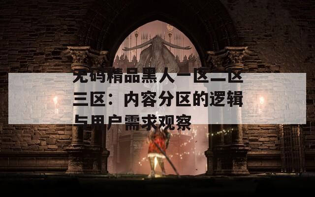 无码精品黑人一区二区三区：内容分区的逻辑与用户需求观察