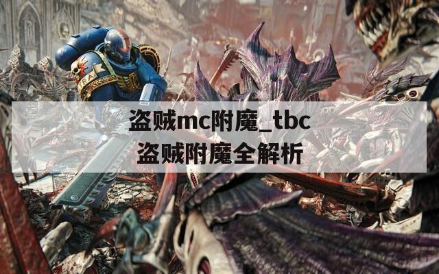 盗贼mc附魔_tbc 盗贼附魔全解析
