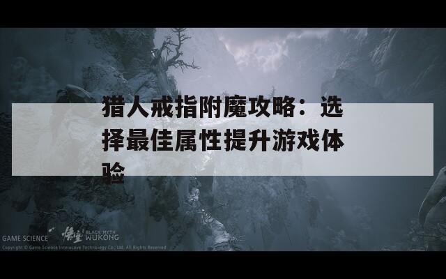 猎人戒指附魔攻略：选择最佳属性提升游戏体验