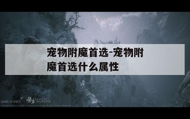 宠物附魔首选-宠物附魔首选什么属性