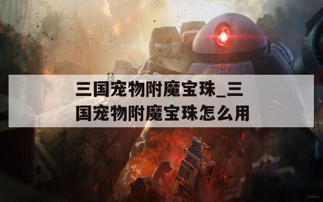 三国宠物附魔宝珠_三国宠物附魔宝珠怎么用