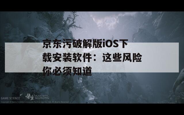 京东污破解版iOS下载安装软件：这些风险你必须知道
