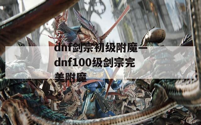 dnf剑宗初级附魔—dnf100级剑宗完美附魔