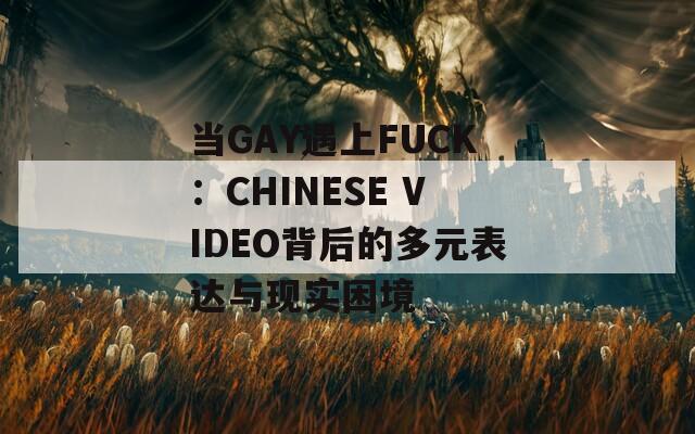 当GAY遇上FUCK：CHINESE VIDEO背后的多元表达与现实困境