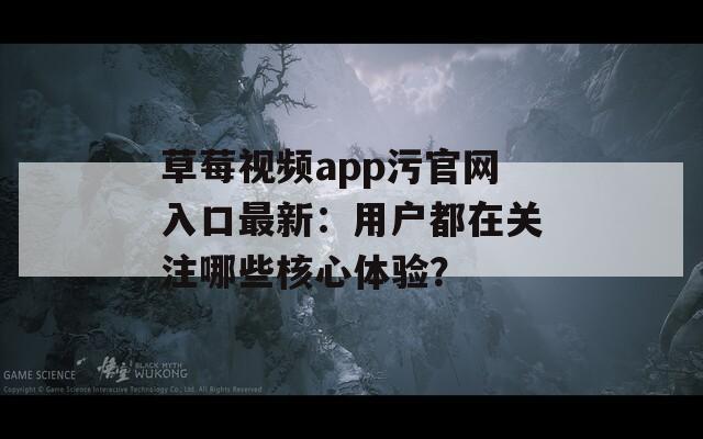 草莓视频app污官网入口最新：用户都在关注哪些核心体验？