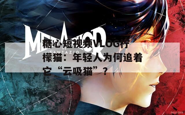 糖心短视频VLOG柠檬猫：年轻人为何追着它“云吸猫”？
