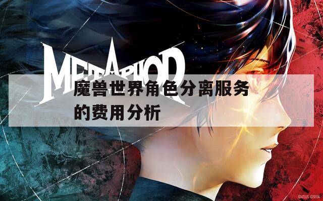 魔兽世界角色分离服务的费用分析