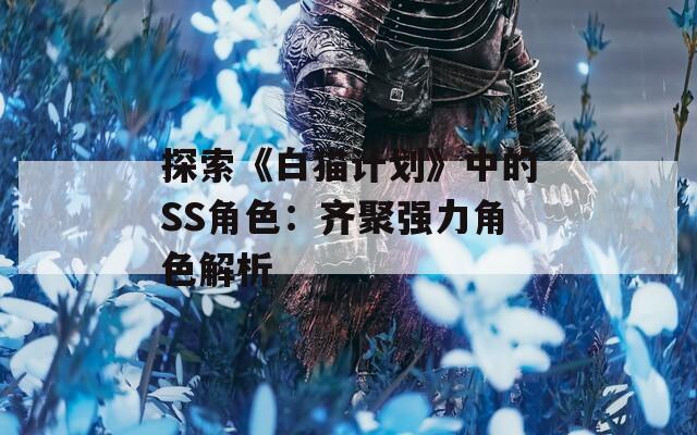 探索《白猫计划》中的SS角色：齐聚强力角色解析