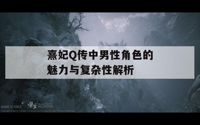 熹妃Q传中男性角色的魅力与复杂性解析