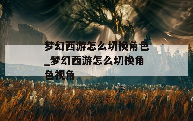 梦幻西游怎么切换角色_梦幻西游怎么切换角色视角