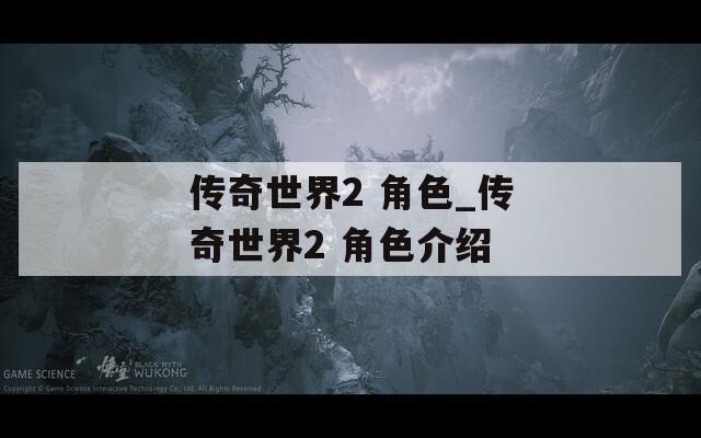 传奇世界2 角色_传奇世界2 角色介绍