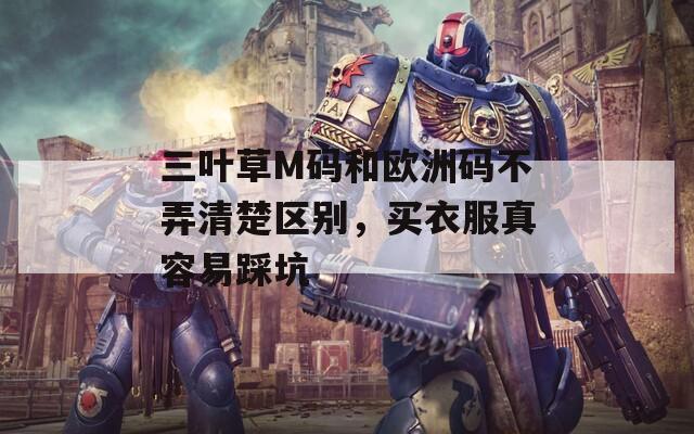 三叶草M码和欧洲码不弄清楚区别，买衣服真容易踩坑