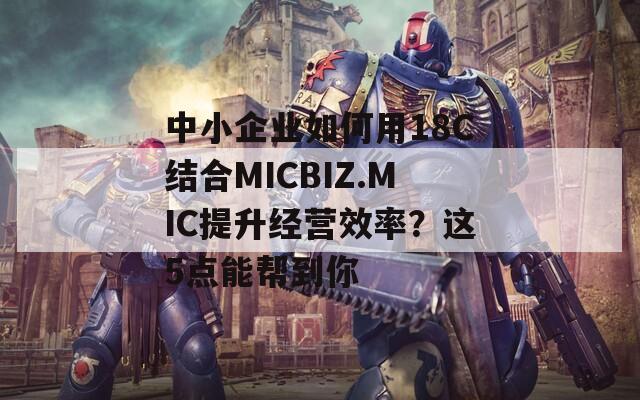 中小企业如何用18C结合MICBIZ.MIC提升经营效率？这5点能帮到你  第1张