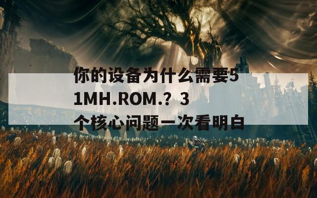 你的设备为什么需要51MH.ROM.？3个核心问题一次看明白  第1张
