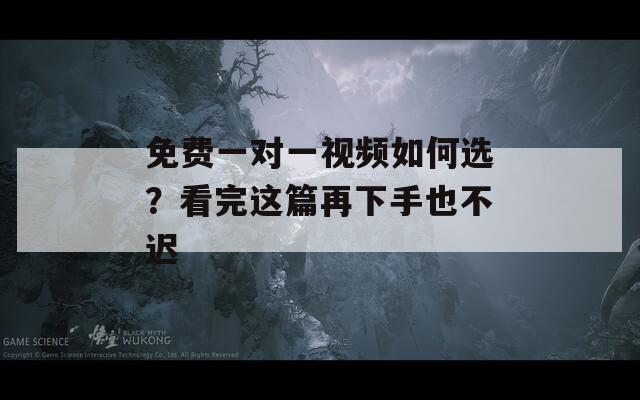 免费一对一视频如何选？看完这篇再下手也不迟  第1张