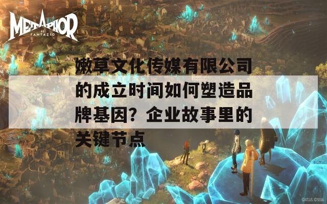 嫩草文化传媒有限公司的成立时间如何塑造品牌基因？企业故事里的关键节点  第1张