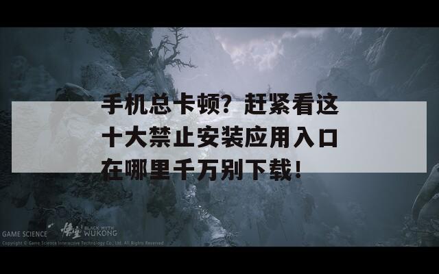 手机总卡顿？赶紧看这十大禁止安装应用入口在哪里千万别下载！  第1张