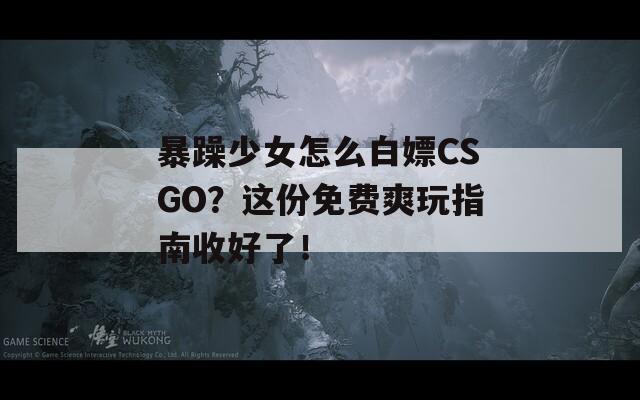 暴躁少女怎么白嫖CSGO？这份免费爽玩指南收好了！  第1张