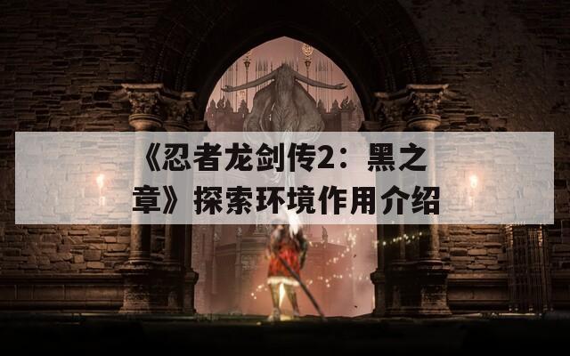 《忍者龙剑传2：黑之章》探索环境作用介绍  第1张