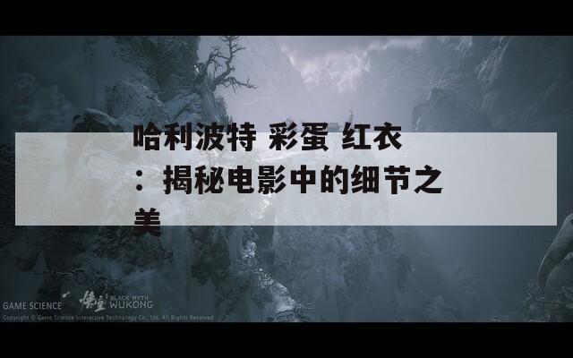 哈利波特 彩蛋 红衣：揭秘电影中的细节之美  第1张