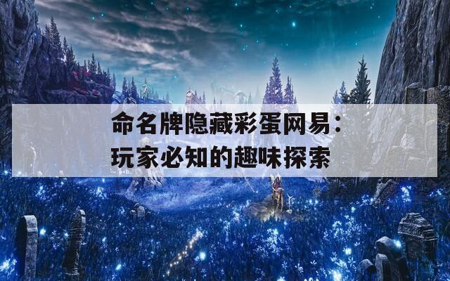命名牌隐藏彩蛋网易：玩家必知的趣味探索  第1张