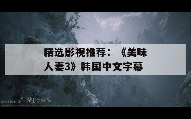 精选影视推荐：《美味人妻3》韩国中文字幕