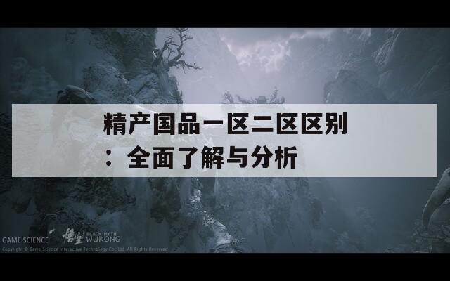 精产国品一区二区区别：全面了解与分析  第1张