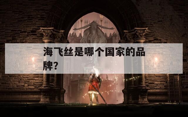 海飞丝是哪个国家的品牌？  第1张