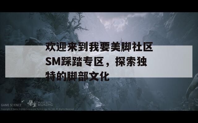 欢迎来到我要美脚社区SM踩踏专区，探索独特的脚部文化