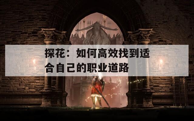 探花：如何高效找到适合自己的职业道路
