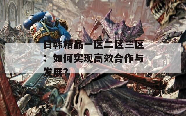 日韩精品一区二区三区：如何实现高效合作与发展？