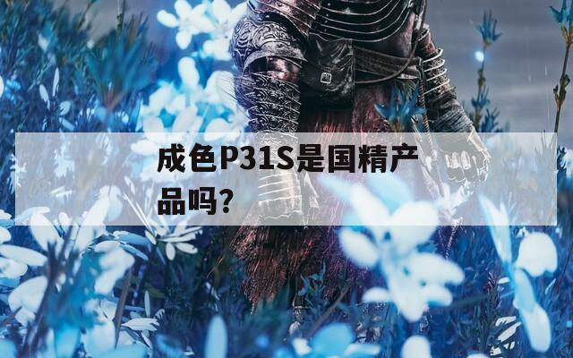 成色P31S是国精产品吗？  第1张