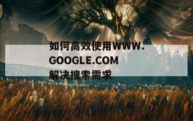如何高效使用WWW.GOOGLE.COM解决搜索需求  第1张