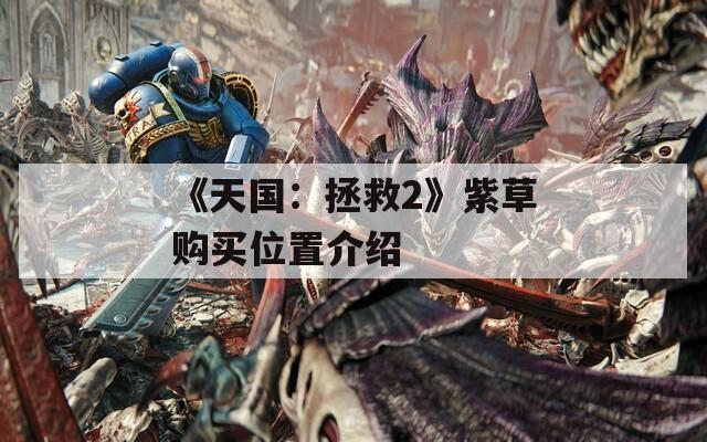 《天国：拯救2》紫草购买位置介绍