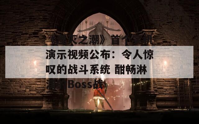 《湮灭之潮》首个实机演示视频公布：令人惊叹的战斗系统 酣畅淋漓的Boss战