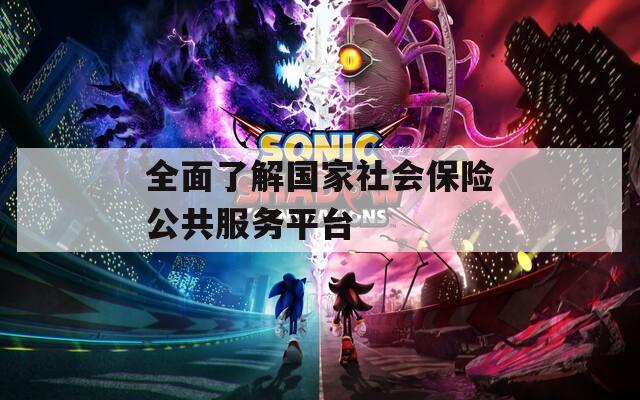 全面了解国家社会保险公共服务平台  第1张