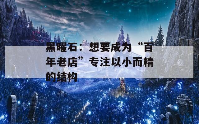 黑曜石：想要成为“百年老店”专注以小而精的结构