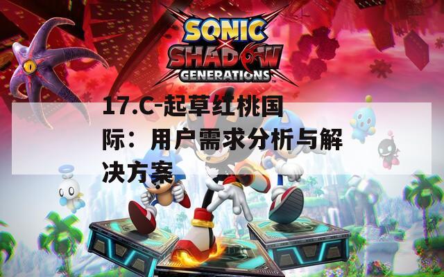 17.C-起草红桃国际：用户需求分析与解决方案  第1张