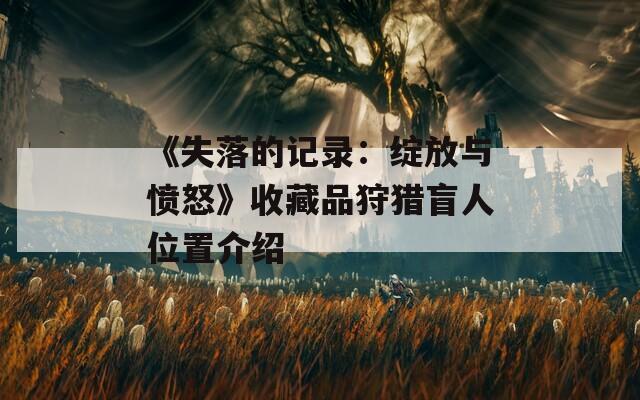 《失落的记录：绽放与愤怒》收藏品狩猎盲人位置介绍  第1张