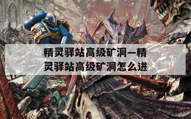 精灵驿站高级矿洞—精灵驿站高级矿洞怎么进