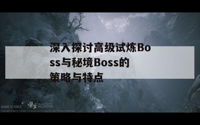 深入探讨高级试炼Boss与秘境Boss的策略与特点