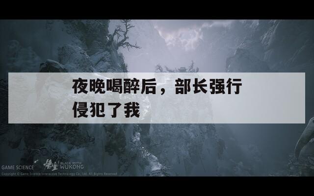 夜晚喝醉后，部长强行侵犯了我