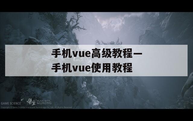 手机vue高级教程—手机vue使用教程