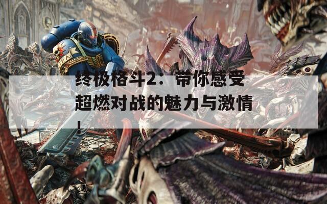 终极格斗2：带你感受超燃对战的魅力与激情！